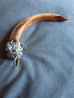 Decoratieve Boar Tusk met Zilveren Beslag tibet 15cm, Antiek en Kunst, Ophalen of Verzenden