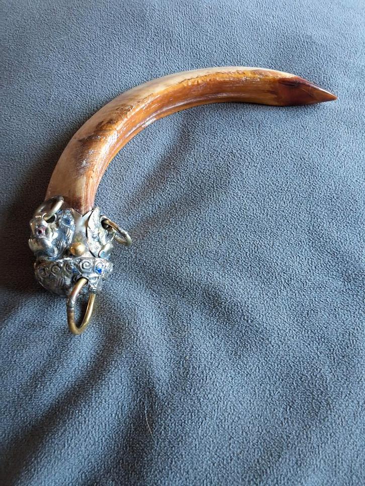 Decoratieve Boar Tusk met Zilveren Beslag tibet 15cm, Antiek en Kunst, Curiosa en Brocante, Ophalen of Verzenden