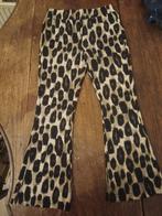 Nieuwe broek maat 116, Kinderen en Baby's, Kinderkleding | Maat 116, Ophalen of Verzenden, Nieuw, Meisje, Broek