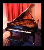 Uitstekend instrument, Muziek en Instrumenten, Ophalen, Zwart, Vleugel