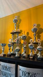 Trofee prijzen bekers, Ophalen