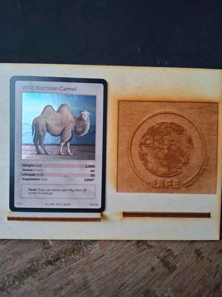 Holo Life TCG mammal card, Ophalen of Verzenden, Zo goed als nieuw