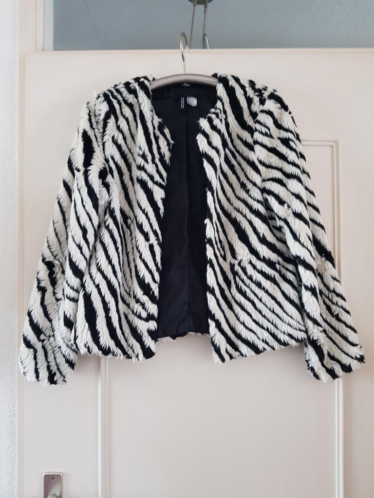 @ Zebra Jasje - divided - Maat 36, Kleding | Dames, Jasjes, Kostuums en Pakken, Zo goed als nieuw, Jasje, Maat 36 (S), Overige kleuren