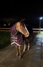 Weatherbeeta Deken WeatherBeeta ComFiTec Plus Dynamic 100gr, Dieren en Toebehoren, Paarden en Pony's | Dekens en Dekjes, Ophalen of Verzenden