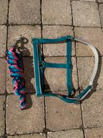 Diverse halsters en halstertouwen, Dieren en Toebehoren, Ophalen of Verzenden, Gebruikt, Overige soorten