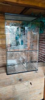 Groot terrarium, Dieren en Toebehoren, Reptielen en Amfibieën | Toebehoren, Ophalen, Zo goed als nieuw