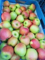 Appels voor sap of cider, Ophalen