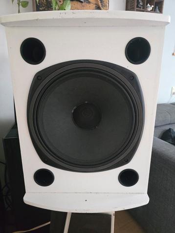 Tannoy v12  beschikbaar voor biedingen