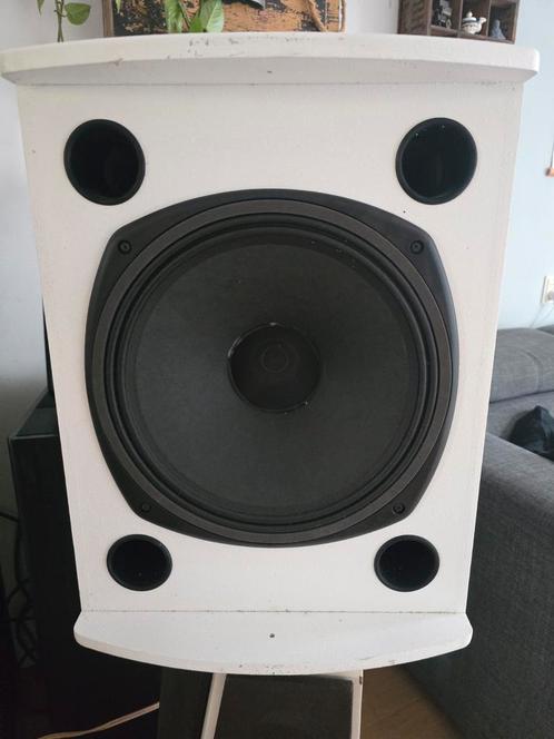 Tannoy v12, Audio, Tv en Foto, Luidsprekers, Gebruikt, Front, Rear of Stereo speakers, 120 watt of meer, Overige merken, Ophalen