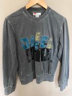 Jongens sweater trui grijs maat 176 DIESEL, Gebruikt, Diesel, Trui of Vest, Ophalen of Verzenden