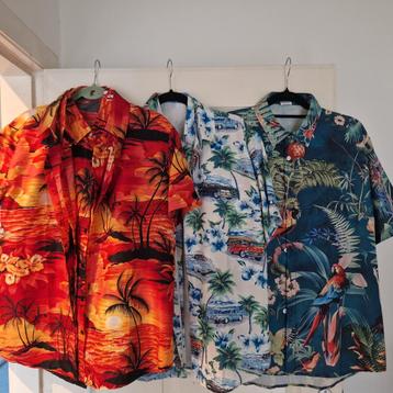 Hawaii party kleding en deco beschikbaar voor biedingen
