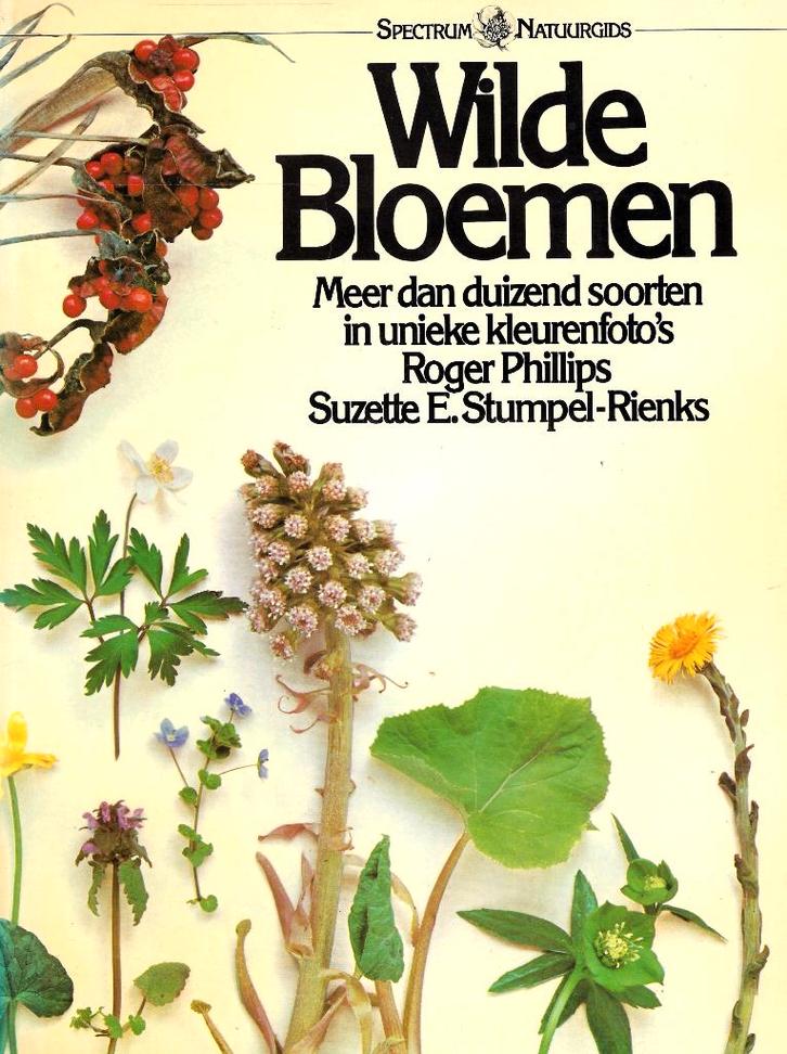 BOEKWERK WILDE BLOEMEN ., Boeken, Natuur, Nieuw, Bloemen, Planten en Bomen, Ophalen of Verzenden