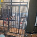 Papegaaienkooi ara kooi, Dieren en Toebehoren, Ophalen of Verzenden, Metaal, Vogelkooi