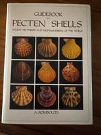 Pectem Shells A. Rombouts, Verzenden, Zo goed als nieuw, Natuur algemeen