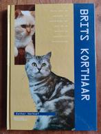 Brits Korthaar - Alles over dit ras!, Ophalen of Verzenden, Zo goed als nieuw, Katten, Esther Verhoef