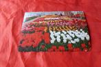 Nederland - oude Ansichtkaart Keukenhof Lisse 1953 (95, Verzamelen, Ansichtkaarten | Nederland, Ophalen of Verzenden, 1940 tot 1960