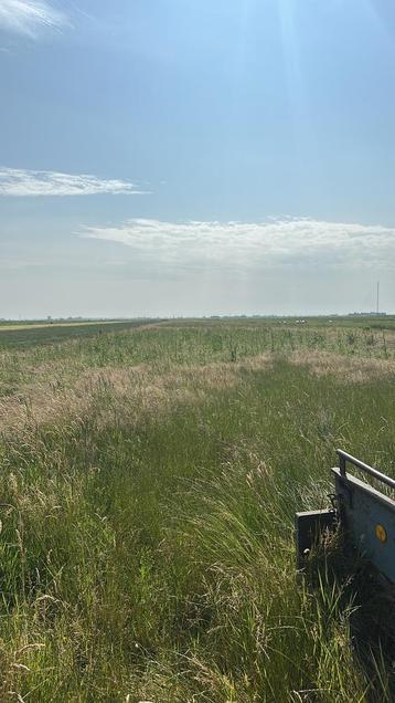 Paarden Hooi 1e snee 25 en 2e snee 24 en gras op stam beschikbaar voor biedingen