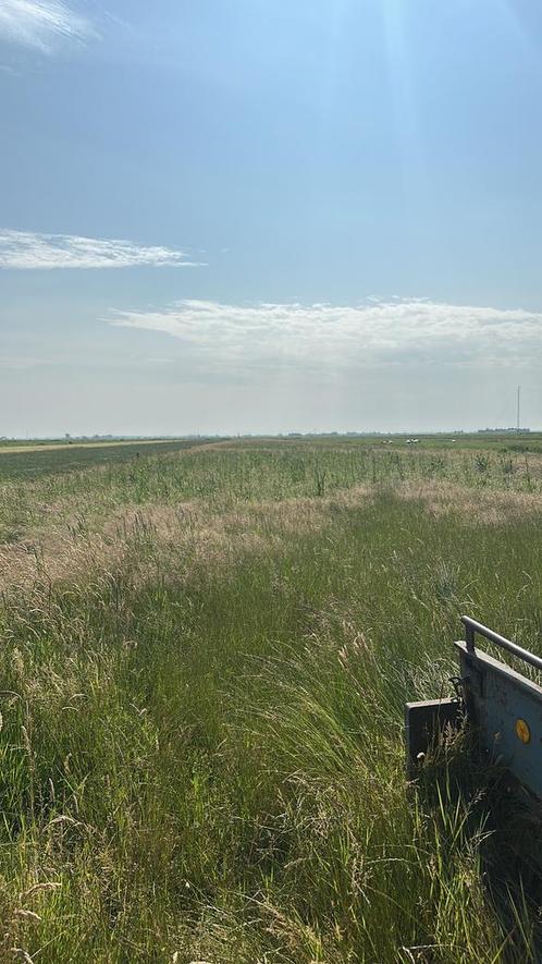 Paarden Hooi 1e snee 25 en 2e snee 24 en gras op stam, Dieren en Toebehoren, Stalling en Weidegang
