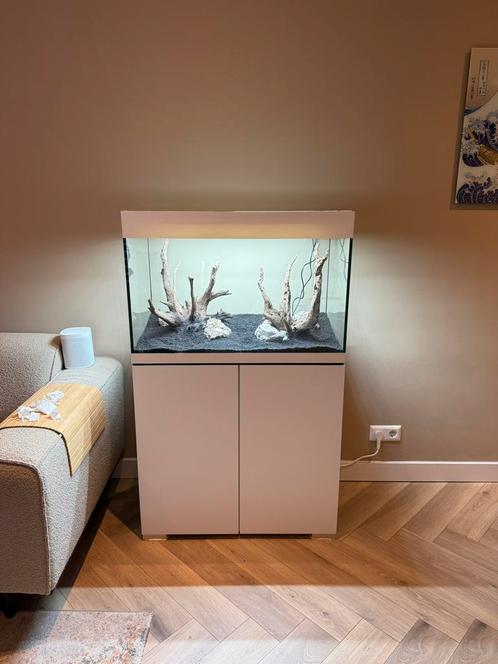 Aquarium compleet 80x40x55, Dieren en Toebehoren, Vissen | Aquaria en Toebehoren, Zo goed als nieuw, Gevuld zoetwateraquarium