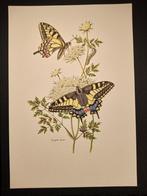 Koninginnenpage, Verzenden, 1980 tot heden, Zo goed als nieuw, Dier