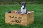 Bull terrier pups direct beschikbaar, Dieren en Toebehoren, Bull Terriër, Rabiës (hondsdolheid), 15 weken tot 1 jaar, Buitenland