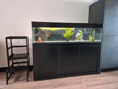 Maatwerk aquarium 150x40x30 inclusief toebehoren, Dieren en Toebehoren, Vissen | Aquaria en Toebehoren, Zo goed als nieuw, Leeg aquarium