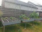 Makkelijke moestuinbak met rek, Ophalen, Zo goed als nieuw