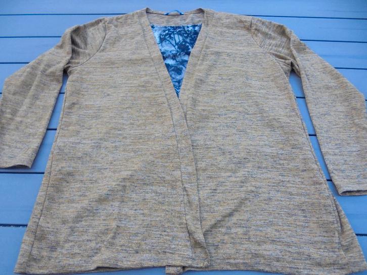 Bruin shirt/vest BETTY & CO, Kleding | Dames, T-shirts, Zo goed als nieuw, Maat 42/44 (L), Bruin, Lange mouw, Ophalen of Verzenden