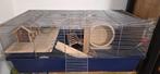Hamsterkooi met toebehoren, Minder dan 60 cm, Kooi, Hamster, Ophalen of Verzenden