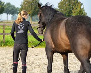 Vakantiestalling voor paard en tegelijk doorgetraind worden beschikbaar voor biedingen
