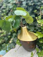 Super leuk vaasje met met groen plantje, Ophalen, Nieuw, Overige kleuren, Minder dan 50 cm