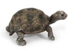 Schleich 14643 reuzeschildpad jong, dierfiguur, Ophalen of Verzenden, Zo goed als nieuw, Reptiel of Amfibie, Beeldje of Figuurtje