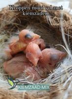Kiemzaad Mix 3kg - 41 Zaden - Herb Bird Mix, Verzenden, Nieuw, Eten en Drinken