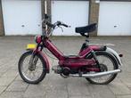 Puch Maxi 1979, Ophalen, Gebruikt, Maximaal 45 km/u, 1 versnellingen