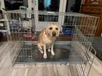 Bench voor honden, Dieren en Toebehoren, Ophalen, Gebruikt