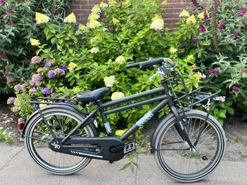 Stoere Alpina Cargo 20 inch terugtraprem transportfiets beschikbaar voor biedingen