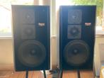 Magnat MSP 60 Set compleet met vloersteunen, Ophalen, Magnat, Zo goed als nieuw, 120 watt of meer