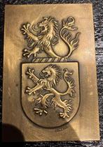 Bronzen Plaquette Silva Familiewapen, Ophalen of Verzenden, Brons