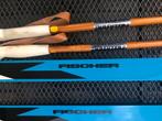 Langlaufskis fischer, Sport en Fitness, Ophalen, Zo goed als nieuw, Carve, Ski's