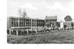 VEESSEN - Kleuterschool Klein Duimpje 1964, Verzenden, 1960 tot 1980, Ongelopen, Gelderland
