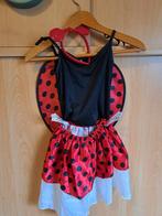 Lieveheersbeestje Pakje Maat 110/116, Kinderen en Baby's, Carnavalskleding en Verkleedspullen, Ophalen, Zo goed als nieuw, 110 t/m 116