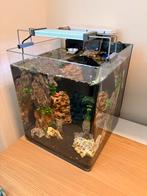 Dennerle Nano Cube 30 liter met toebehoren, Dieren en Toebehoren, Vissen | Aquaria en Toebehoren, Ophalen, Gebruikt, Leeg aquarium