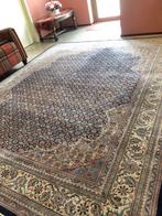 Grote Perzisch tapijt handgeknoopt Bidjar vloerkleed 365x275
