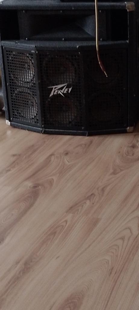 2 Peavey CL2 Speakerboxen en Ross power amp, Muziek en Instrumenten, Versterkers | Keyboard, Monitor en PA, Gebruikt, P.A., Minder dan 500 watt