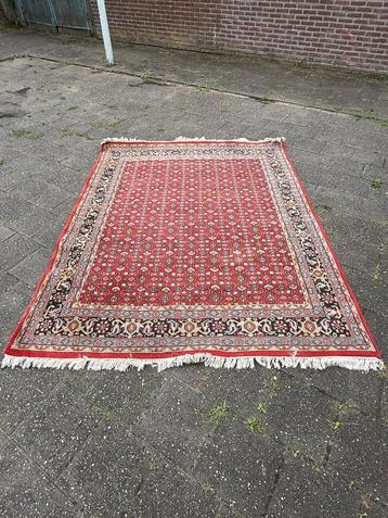 Handgeknoopt Perzisch tapijt / carpet beschikbaar voor biedingen