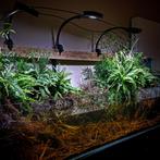 compleet natuur aquarium 2meter, Dieren en Toebehoren, Vissen | Aquaria en Toebehoren, Ophalen, Zo goed als nieuw, Leeg aquarium