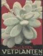 Vetplanten, Verkade, 1932 compleet, A. J. van Laren, mooi., Antiek en Kunst, Antiek | Boeken en Bijbels, Ophalen of Verzenden
