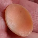 Oude Camee Gesneden van Schelp, Verzenden, Gebruikt