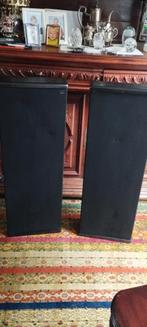 DCM Timeframe TF 275, Gebruikt, 60 tot 120 watt, Front, Rear of Stereo speakers, Ophalen