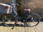 Gazelle Miss Grace, Fietsen en Brommers, Fietsen | Dames | Damesfietsen, Versnellingen, 50 tot 53 cm, Gebruikt, Ophalen